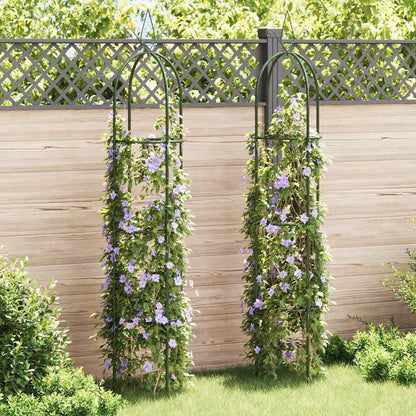 Set Torri ad Arco 2 pz per Piante Rampicanti da Giardino | homemem39
