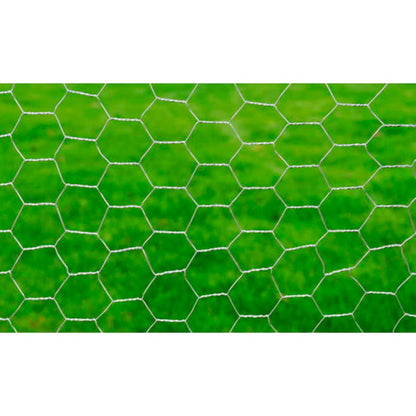 Recinzione in Rete per Pollaio Acciaio Zincato 25x0,75m Argento - homemem39