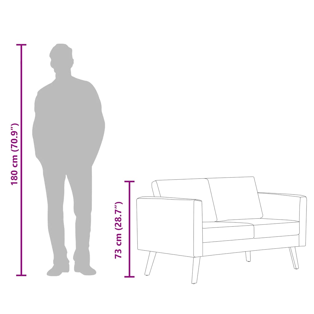 Divano a 2 Posti in Tessuto Grigio Chiaro - homemem39