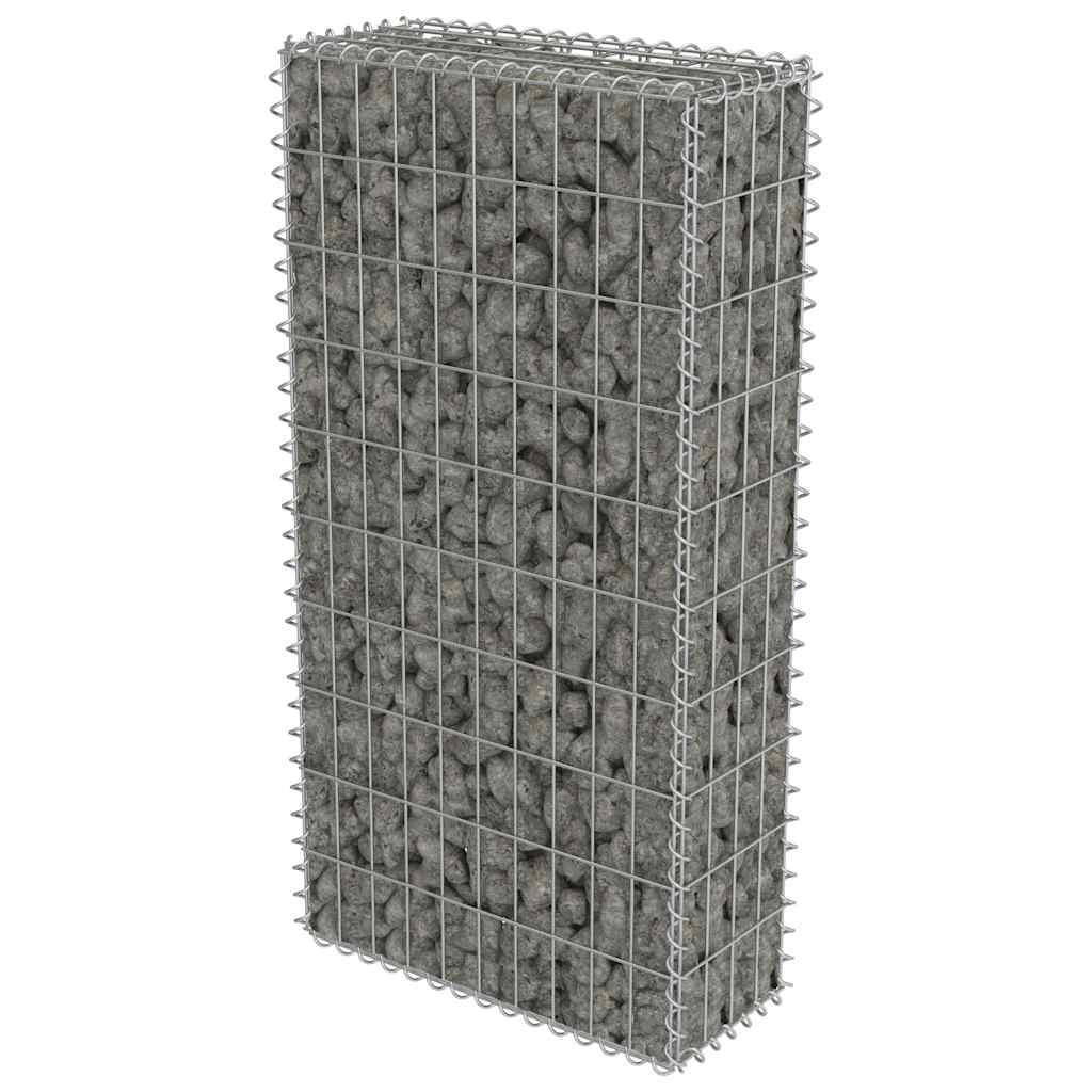 Gabbione con Copertura in Acciaio Zincato 50x20x100 cm | homemem39