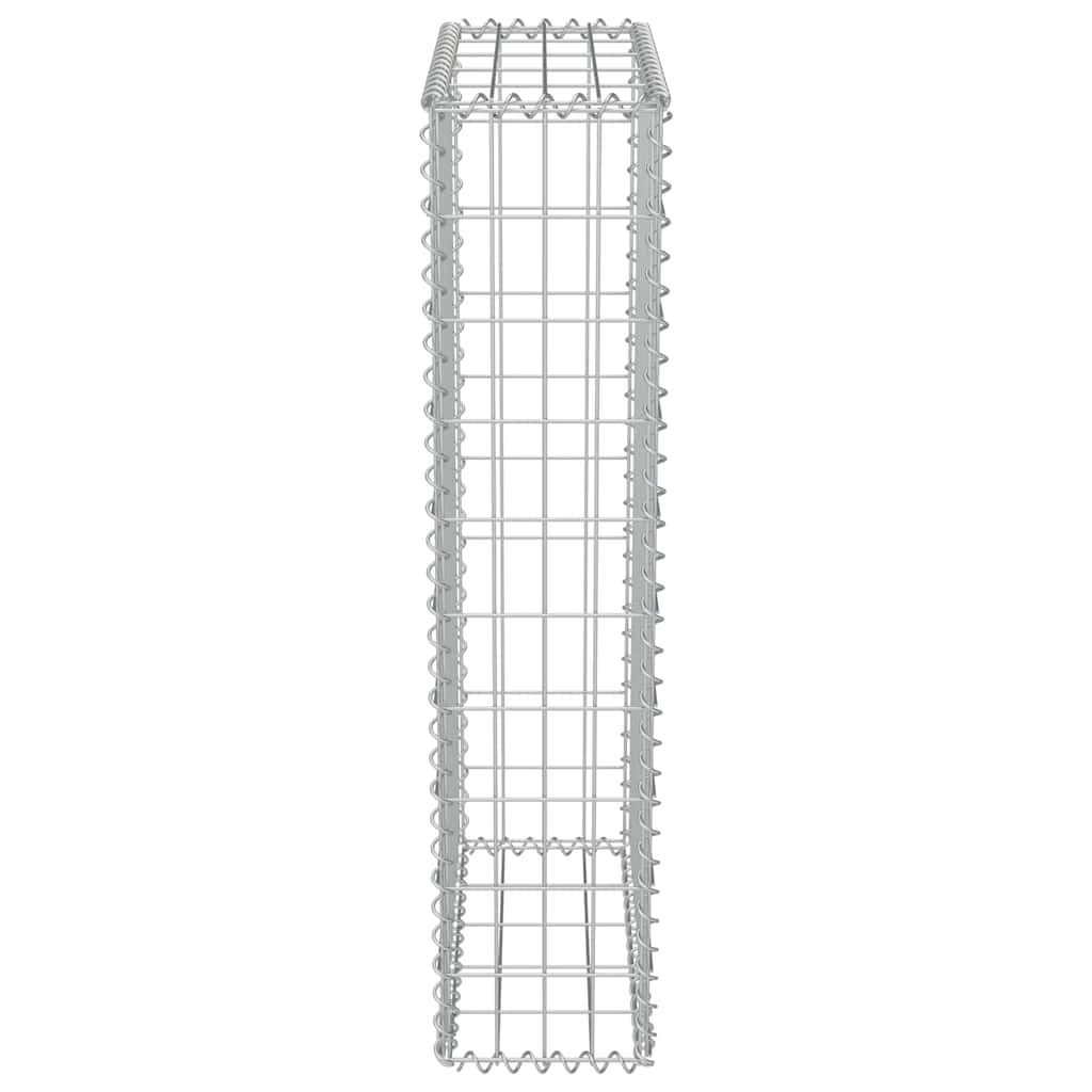 Gabbione con Copertura in Acciaio Zincato 50x20x100 cm | homemem39
