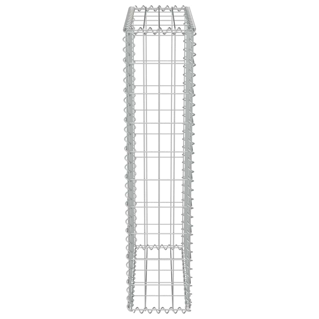 Gabbione con Copertura in Acciaio Zincato 50x20x100 cm - homemem39