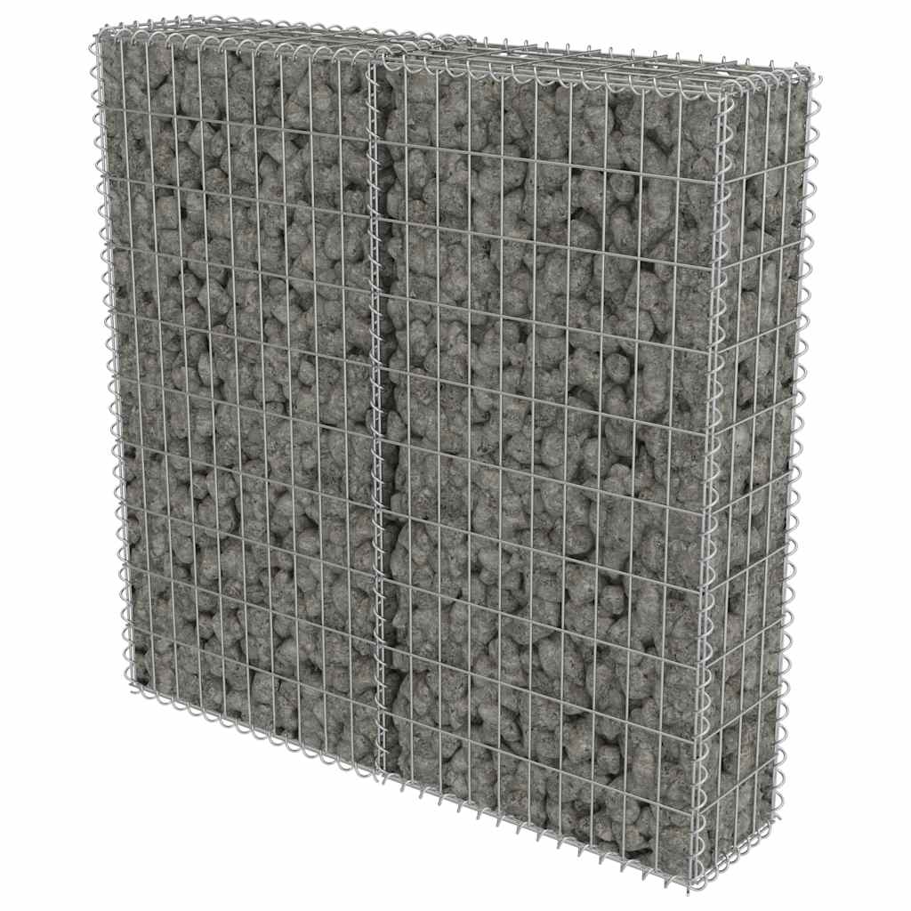 Gabbione con Copertura in Acciaio Zincato 100x20x100 cm | homemem39