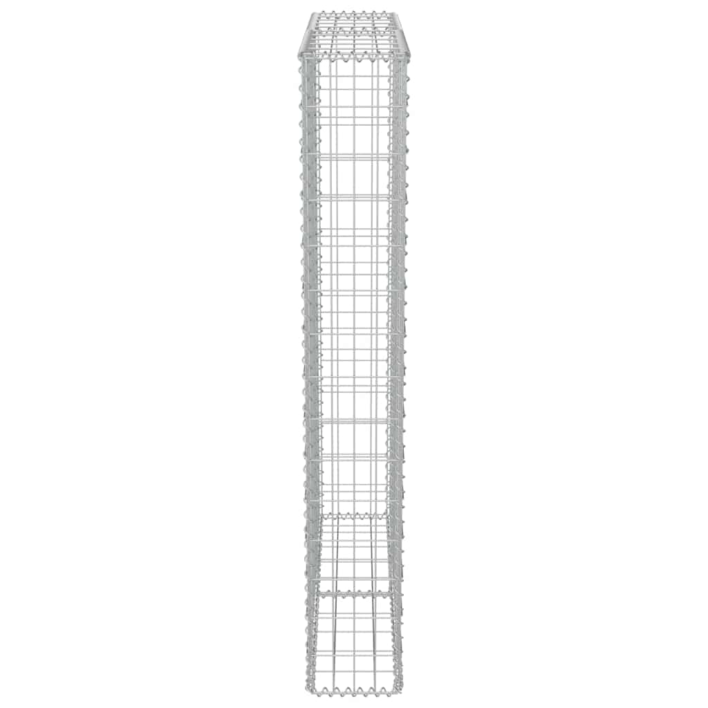 Gabbione con Copertura in Acciaio Zincato 100x20x150 cm | homemem39