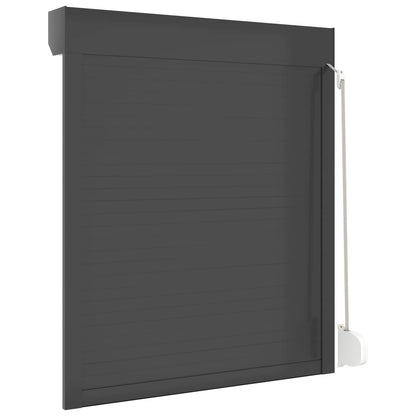 Persiana a rullo Antracite 100 x 120 cm Alluminio e poliuretano | homemem39
