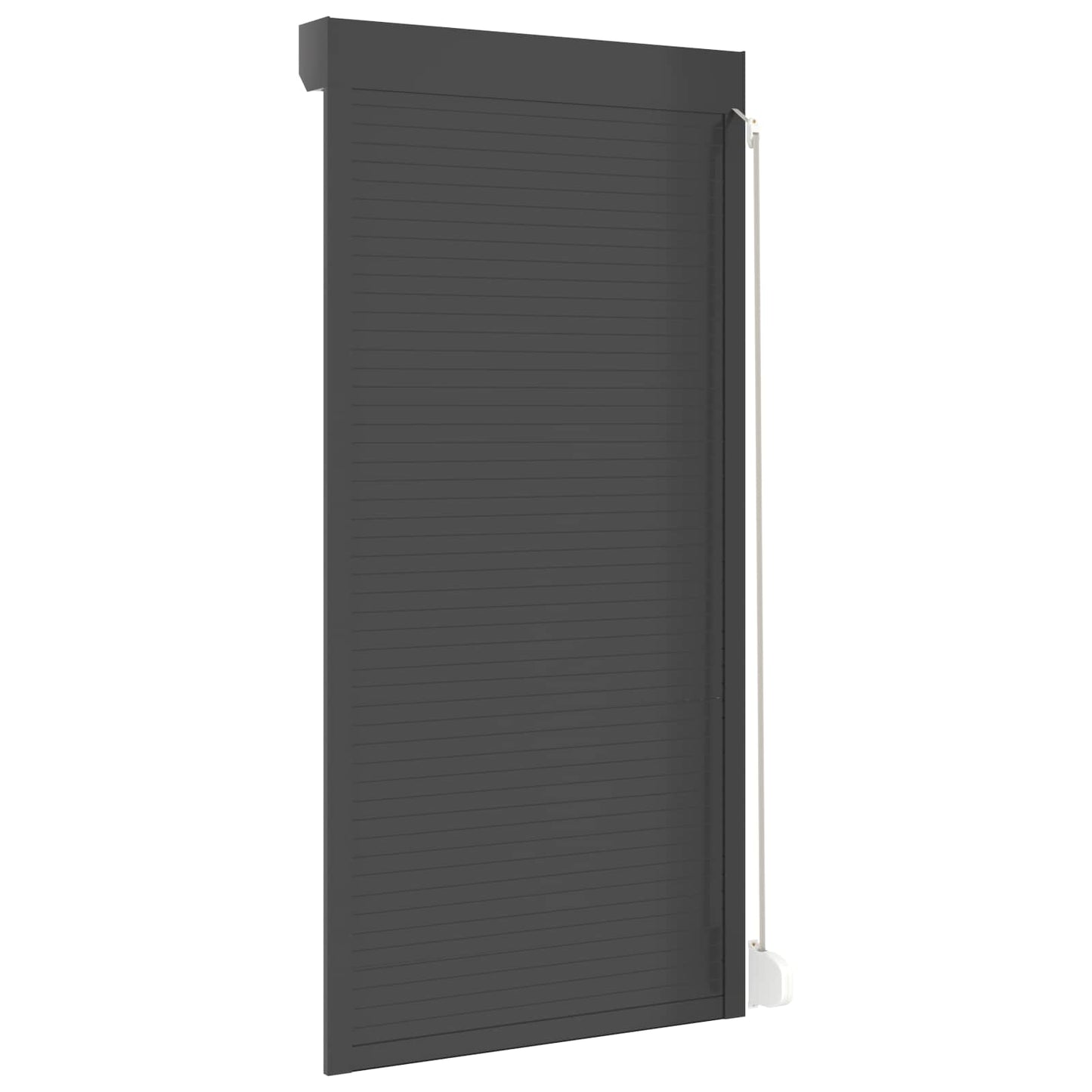 Persiana a rullo Antracite 100 x 210 cm Alluminio e poliuretano
