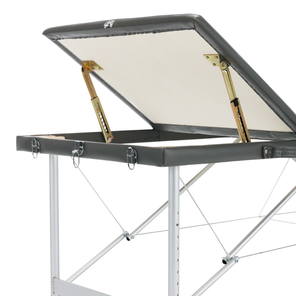 Lettino da Massaggio 3 Zone Telaio Alluminio Antracite 186x68cm | homemem39