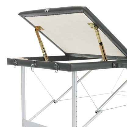 Lettino da Massaggio 3 Zone Telaio Alluminio Antracite 186x68cm | homemem39