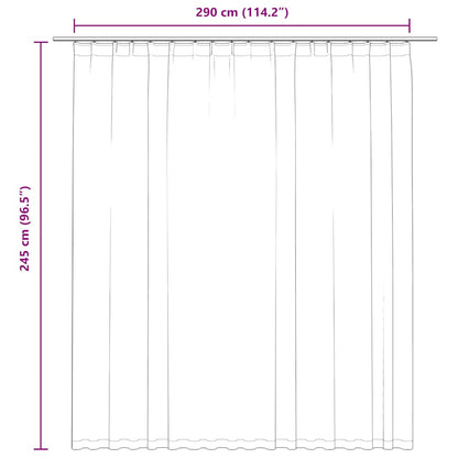 Tenda Oscurante con Ganci Antracite 290x245 cm | homemem39