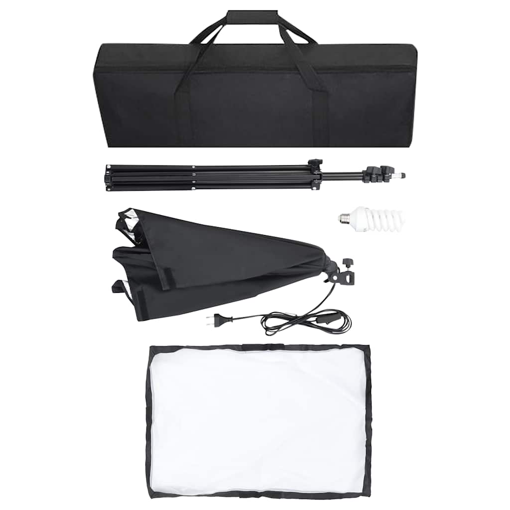 Luci Professionali da Studio 2 pz 40x60 cm in Acciaio Nero - homemem39