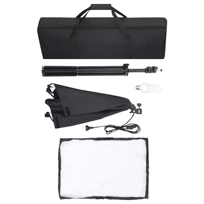 Luci Professionali da Studio 2 pz 40x60 cm in Acciaio Nero - homemem39