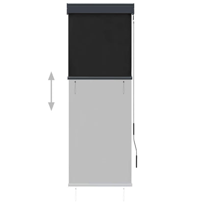 Tenda a Rullo per Esterni 60x250 cm Antracite