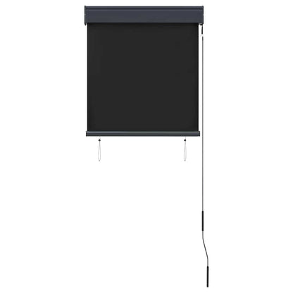 Tenda a Rullo per Esterni 60x250 cm Antracite
