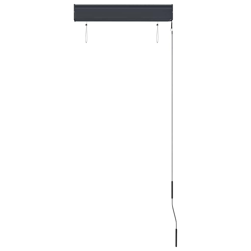 Tenda a Rullo per Esterni 60x250 cm Antracite
