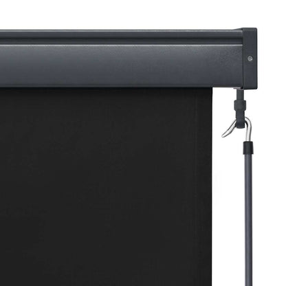 Tenda a Rullo per Esterni 60x250 cm Antracite
