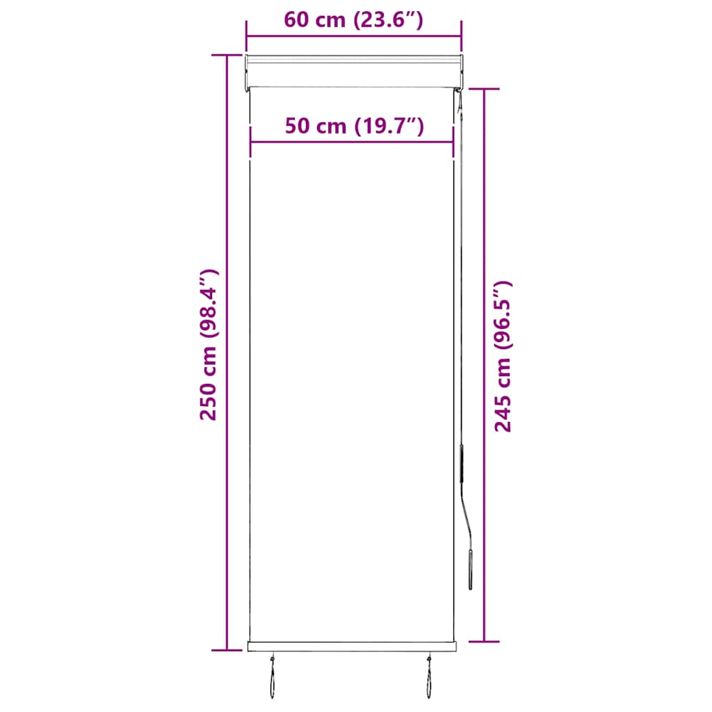 Tenda a Rullo per Esterni 60x250 cm Antracite