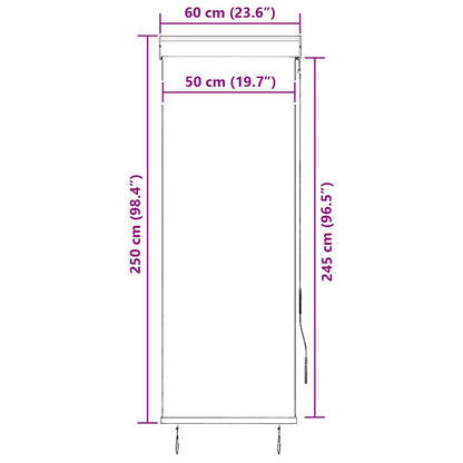 Tenda a Rullo per Esterni 60x250 cm Antracite