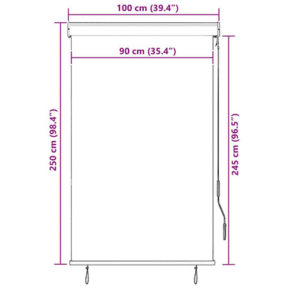 Tenda a Rullo per Esterni 100x250 cm Bianca e Arancione