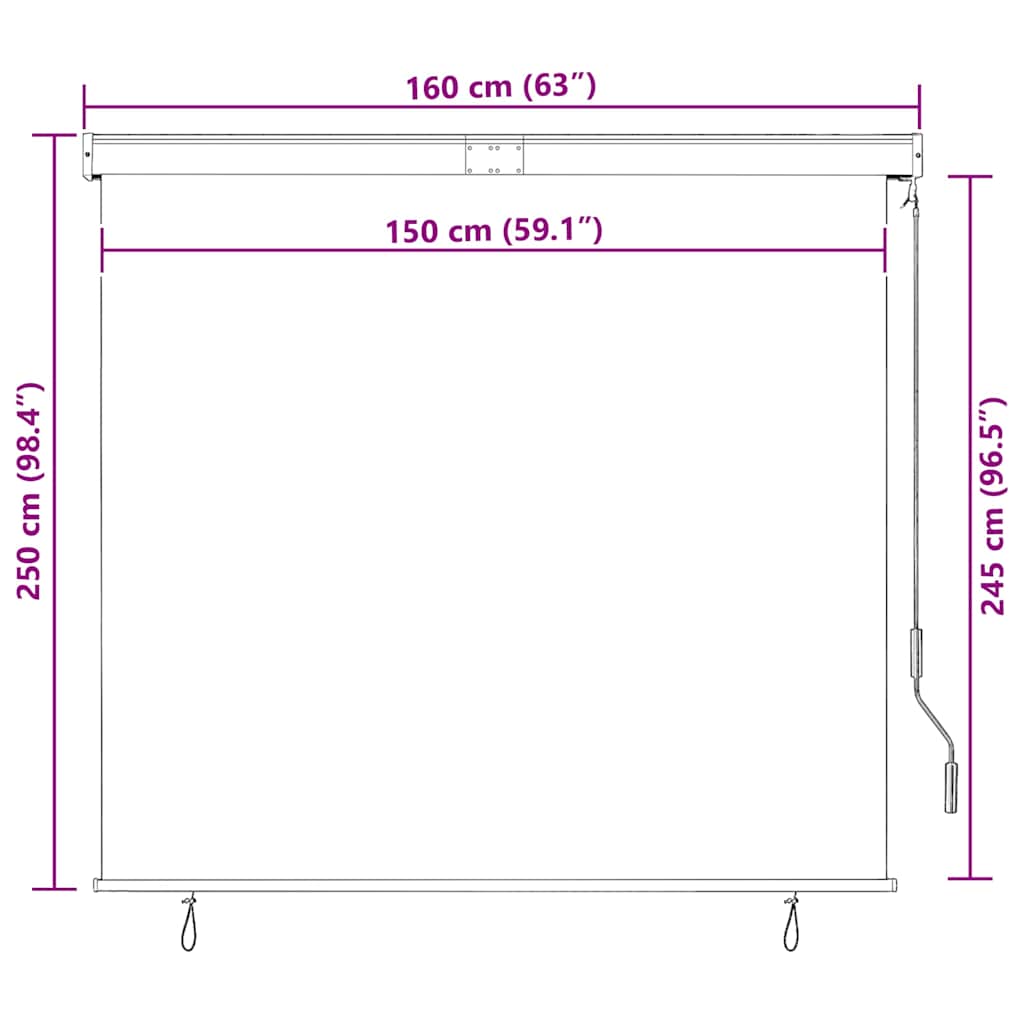Tenda a Rullo per Esterni 160x250 cm Blu e Bianca