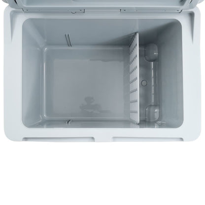Scatola Termoelettrica Portatile 40 L 12 V 230 V E