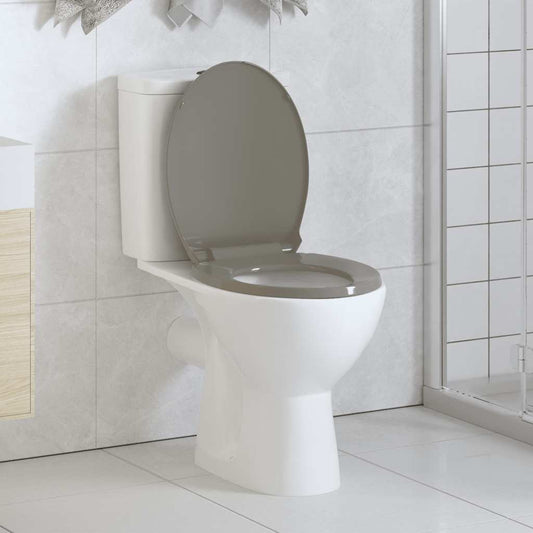 Tavoletta WC a Chiusura Ammortizzata Grigio Ovale
