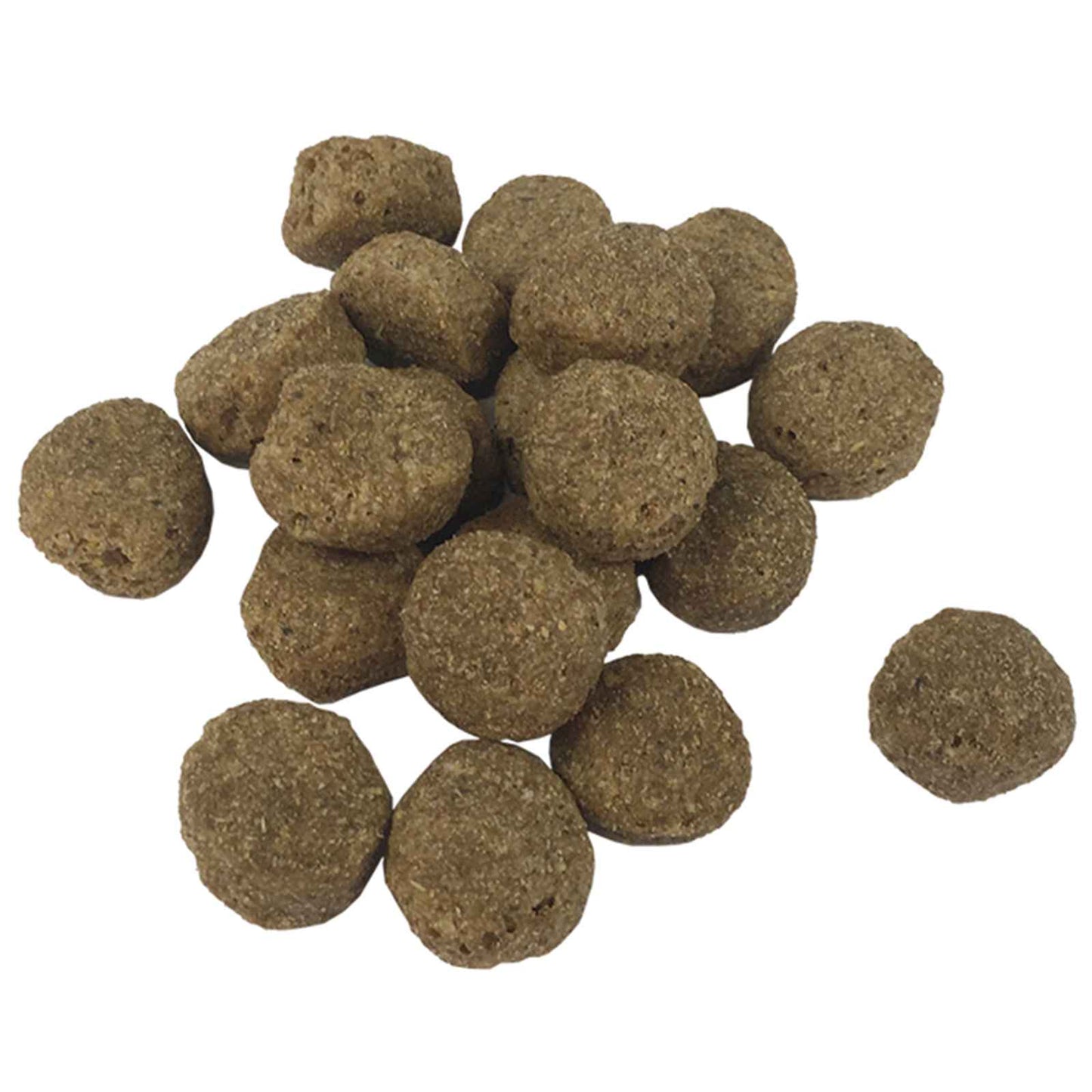 Supporto per alimentazione e ciotola con cibo per cani