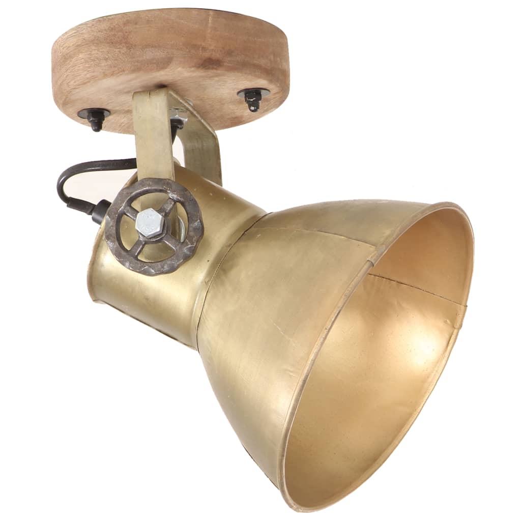 Lampade da Parete/Soffitto 2 pz Industriale Ottone 20x25 cm E27 | homemem39
