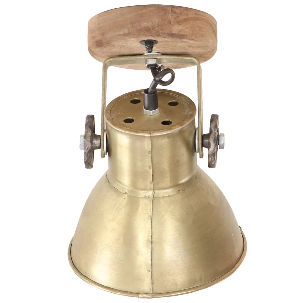Lampade da Parete/Soffitto 2 pz Industriale Ottone 20x25 cm E27 | homemem39