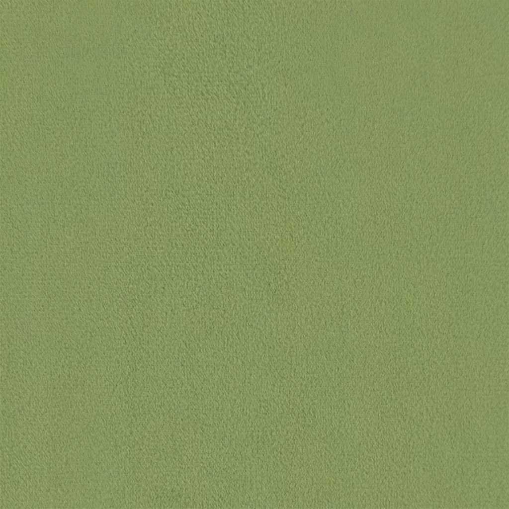 Poltrona Verde Chiaro in Velluto