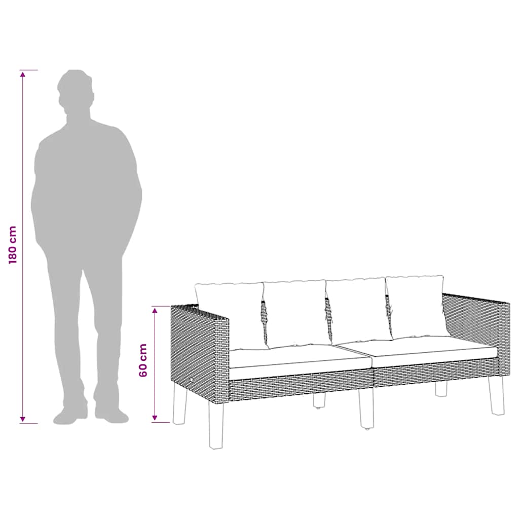 Divano da Giardino a 2 Posti con Cuscini in Polyrattan Nero | homemem39