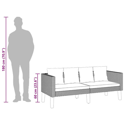 Divano da Giardino a 2 Posti con Cuscini in Polyrattan Nero - homemem39
