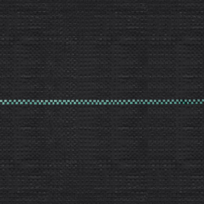 Telo Pacciamatura Antiradici Antierbacce Nero 2x5 m in PP - homemem39