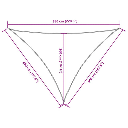 Parasole a Vela in Tessuto Oxford Triangolare 4x4x5,8m Bianco