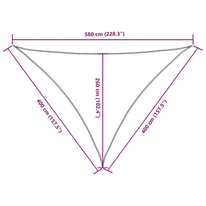 Parasole a Vela Oxford Triangolare 4x4x5,8 m Nero