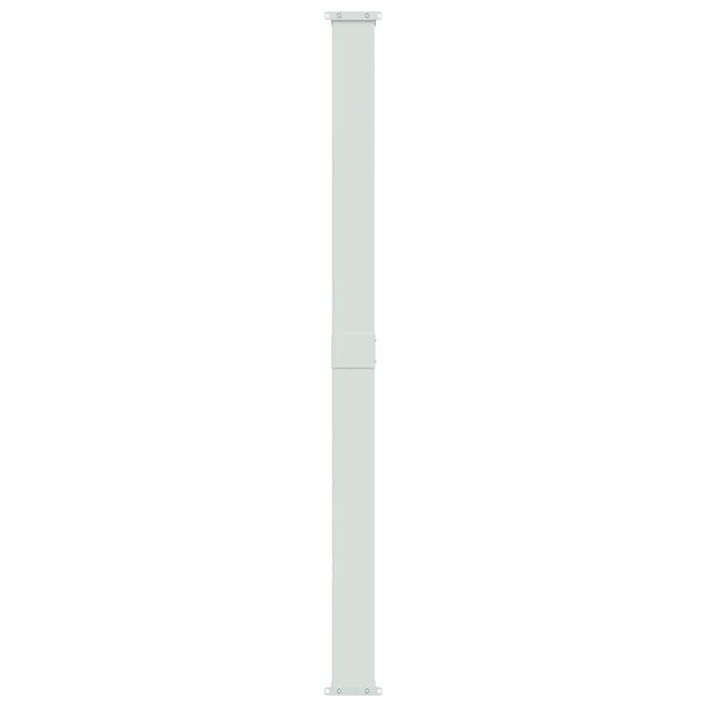 Tenda Laterale Retrattile per Patio 200x300 cm Nero