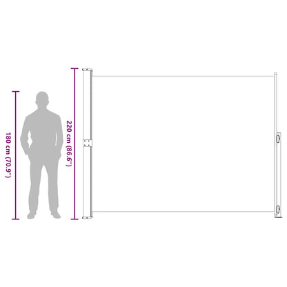 Tenda Laterale Retrattile per Patio 220x300 cm Nera | homemem39