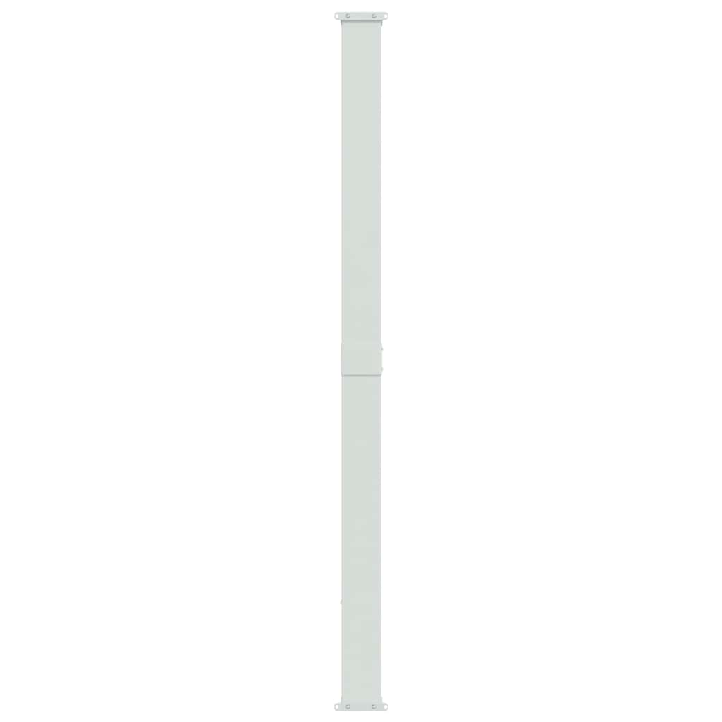Tenda Laterale Retrattile per Patio 220x314 cm Grigia