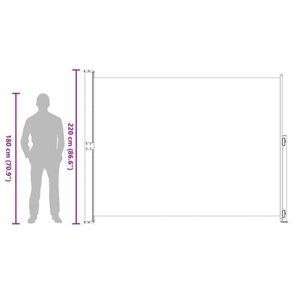 Tenda Laterale Retrattile per Patio 220x300 cm Grigia | homemem39