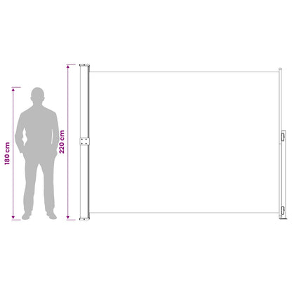 Tenda Laterale Retrattile per Patio 220x314 cm Grigia