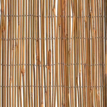 Recinzione in Bambù 500x100 cm