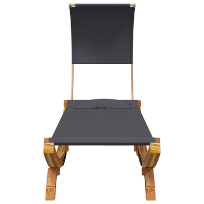 Lettino con Tettuccio 100x200x126 cm in Legno Curvato Antracite - homemem39