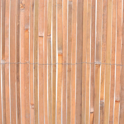 Bamboo fences 2 pcs 100x400 cm