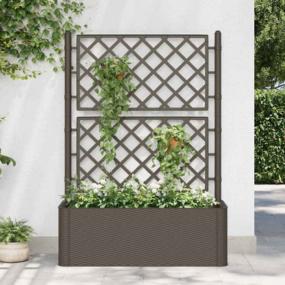 Letto Rialzato da Giardino con Graticcio e Irrigazione Moca | homemem39