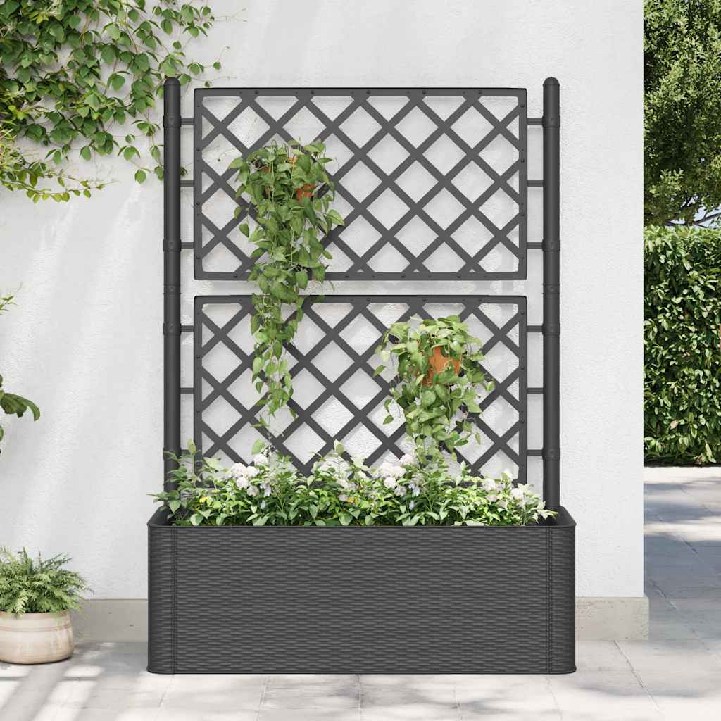 Letto Rialzato da Giardino Graticcio e Irrigazione Antracite | homemem39