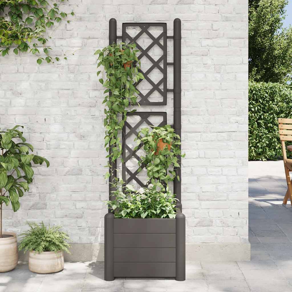 Fioriera da Giardino con Graticcio 43x43x142 cm PP Antracite | homemem39