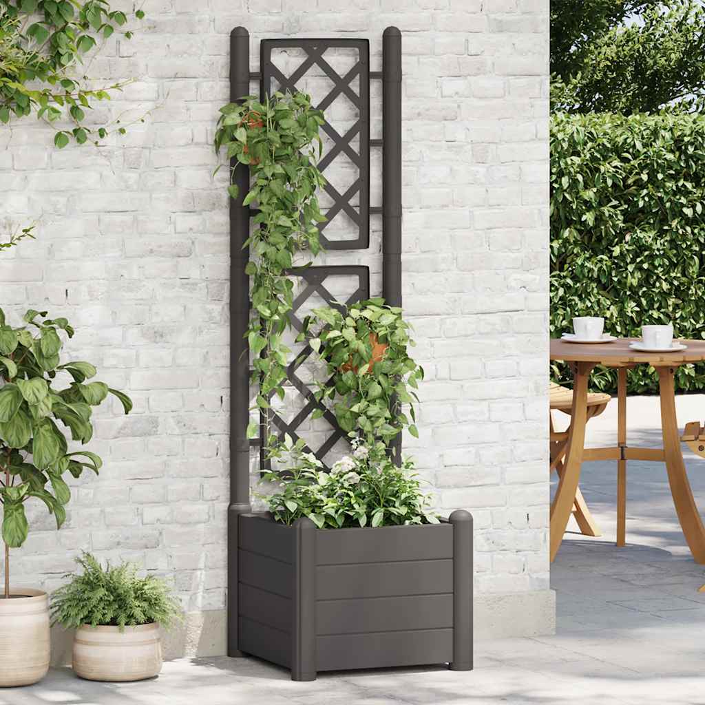 Fioriera da Giardino con Graticcio 43x43x142 cm PP Antracite | homemem39