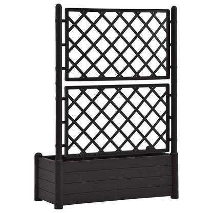 Fioriera da Giardino con Graticcio 100x43x142 cm PP Antracite | homemem39