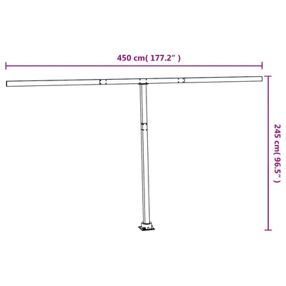 Set Pali per Tenda da Sole Antracite 450x245 cm Ferro - homemem39
