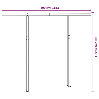 Set Pali per Tenda da Sole Antracite 300x245 cm Ferro - homemem39