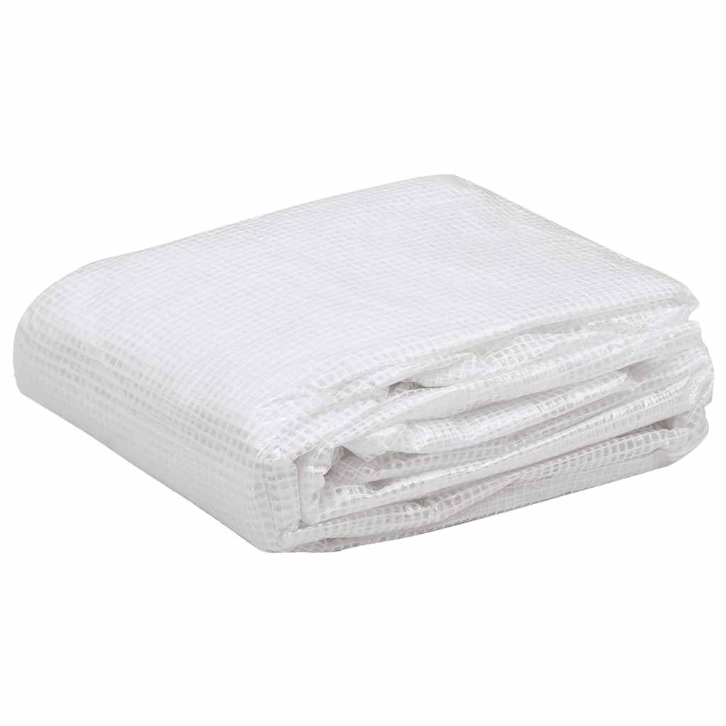 Telo di Ricambio per Serra (9 m²) 3x3x2 m Trasparente - homemem39